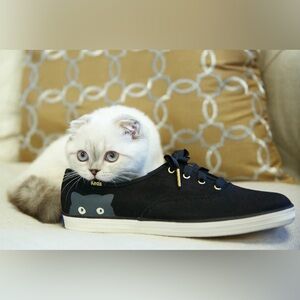 Keds TS Cat Sneakers